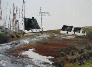 NSC-009 Huile 3x48
