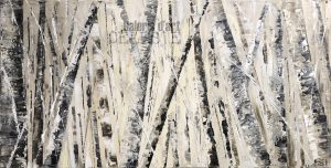Bouleaux 54 - 28 x 48