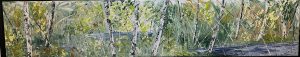 Bouleaux 128 - 12x60